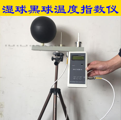 ly 09黑球濕球溫度計品牌